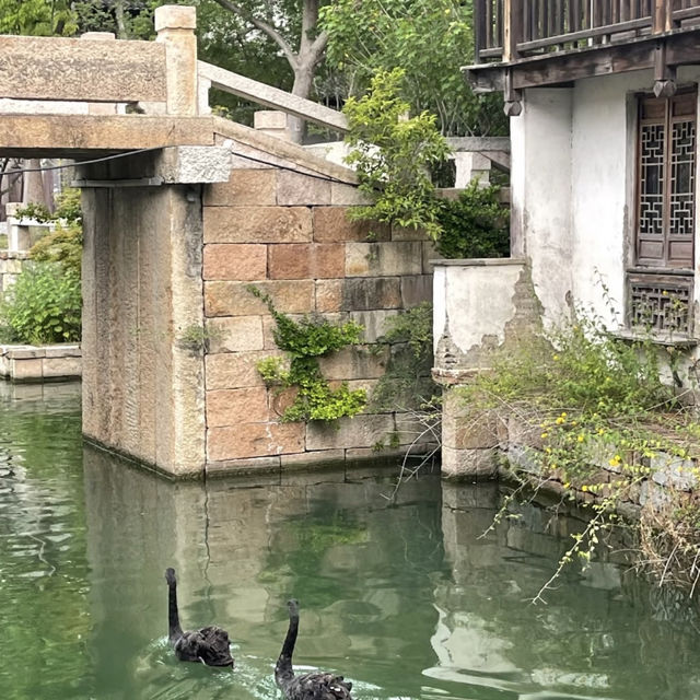 濮院古鎮｜現實版江南百景圖 🏞️