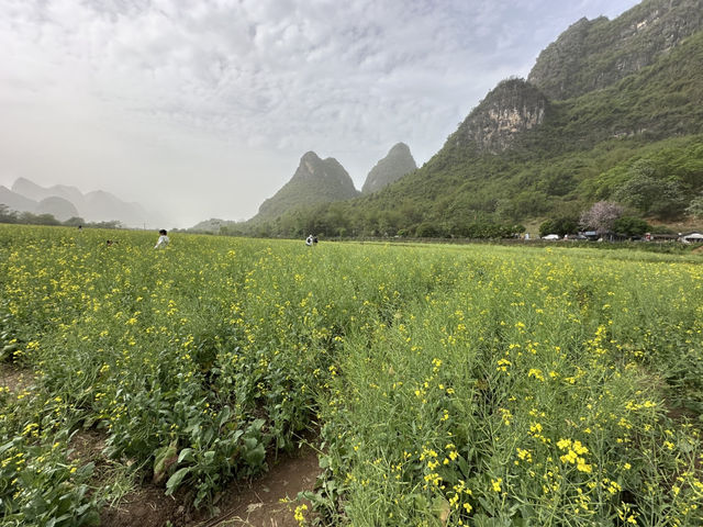 #Yangshuo#Guilin#
