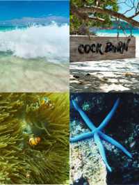 心が洗われる、シミランの青い世界へ。🌴🌊✨