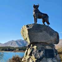 Tranquil Moments by the Lake: A Visit to Tekapo’s Iconic Church and Memorial Dog
