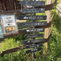 🐑Shiga Prefecture | A Wholesome Day at Shaun the Sheep Farm Garden🌸