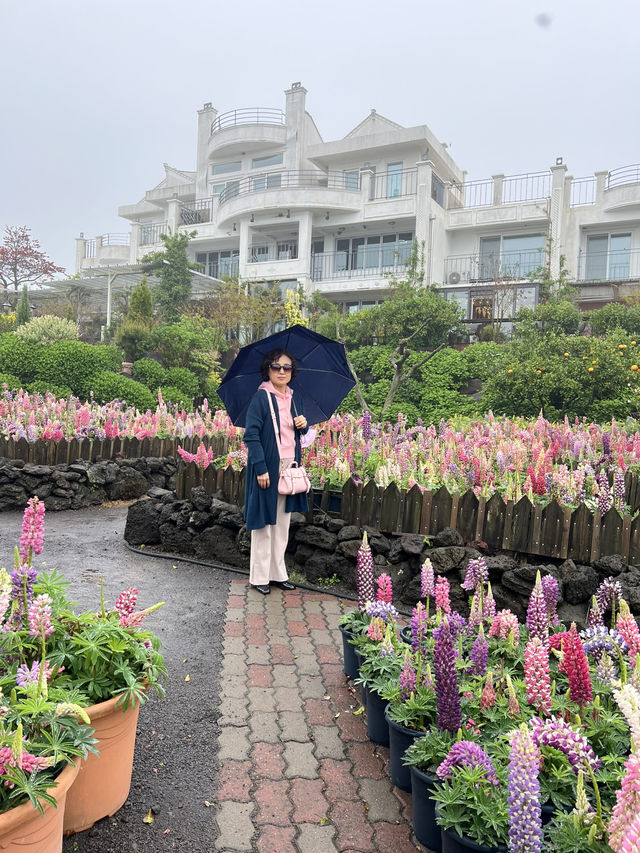 제주도 정원 카페 마노르 블랑