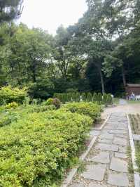 🌲 숲속 감성 그대로, 고양 신상카페 ‘로더우드 L’odeur Wood’