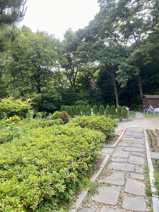 🌲 숲속 감성 그대로, 고양 신상카페 ‘로더우드 L’odeur Wood’