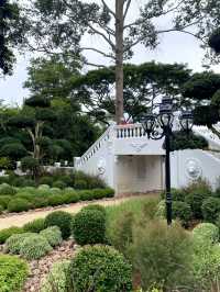 คาเฟ่สไตล์สวนอังกฤษ
