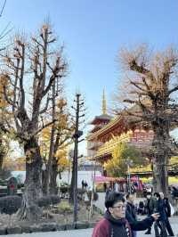 『米其林評鑑二星景點』【淺草觀音寺】雷門‧仲見世商店街～下町風情～美食&祭典結合的『淺草橫町』
