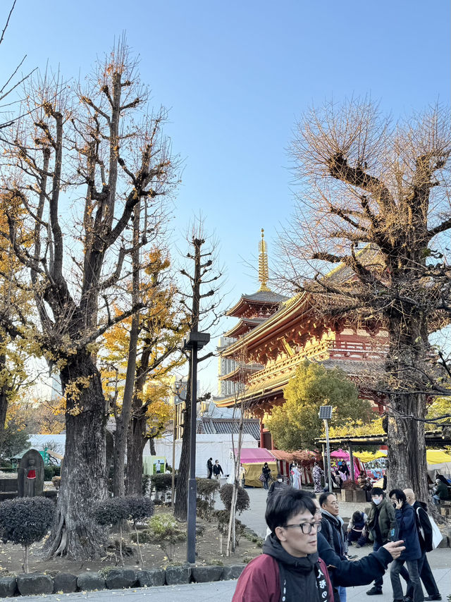 『米其林評鑑二星景點』【淺草觀音寺】雷門‧仲見世商店街～下町風情～美食&祭典結合的『淺草橫町』