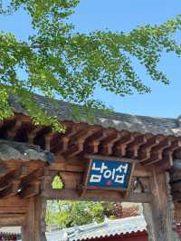 🚞 하루에 담긴 풍경과 맛, 춘천 여행기