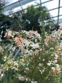 Flower Dome - Garden by the bay