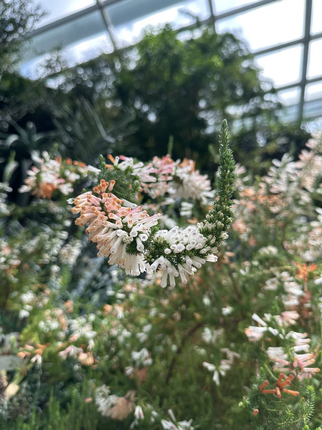 Flower Dome - Garden by the bay