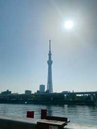 เดินเล่นริมน้ำ Sumida