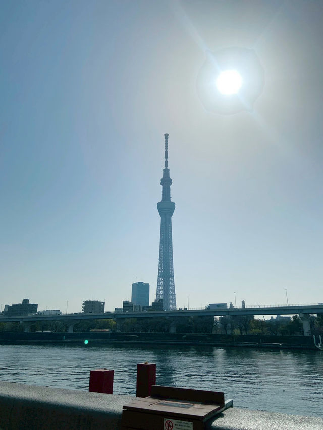 เดินเล่นริมน้ำ Sumida