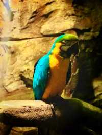 Whiskers & Wonders: The Enchanting Petting Zoo at Lost World of Tambun 
