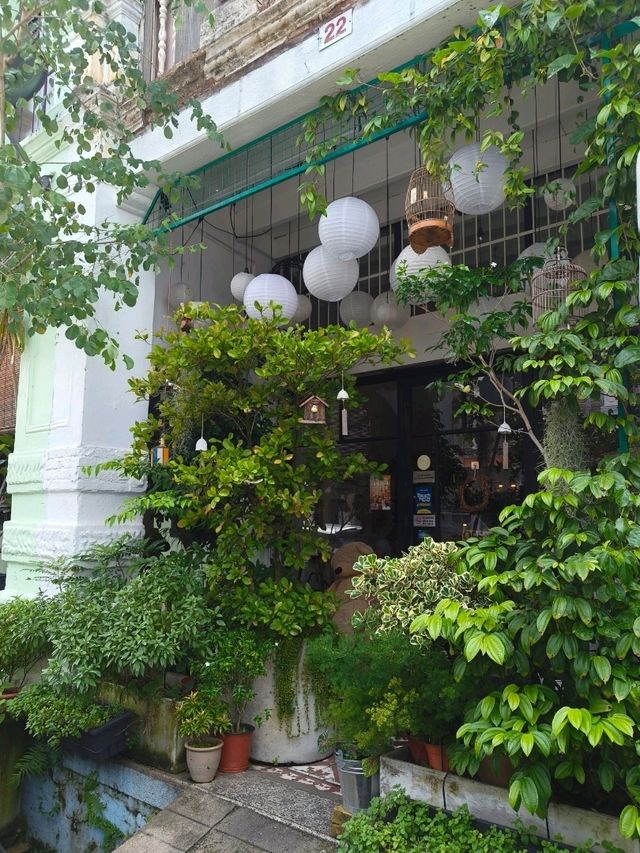 Chamomile, Typewriters & Teddy Bears—What a Café!