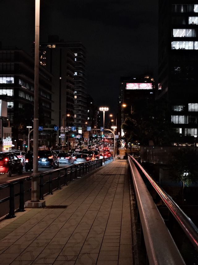 ライトアップが都会の喧騒を忘れさせる | 夜の中之島公園