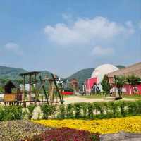 Belle Foret Farm