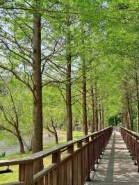 Yongso Well-being Park