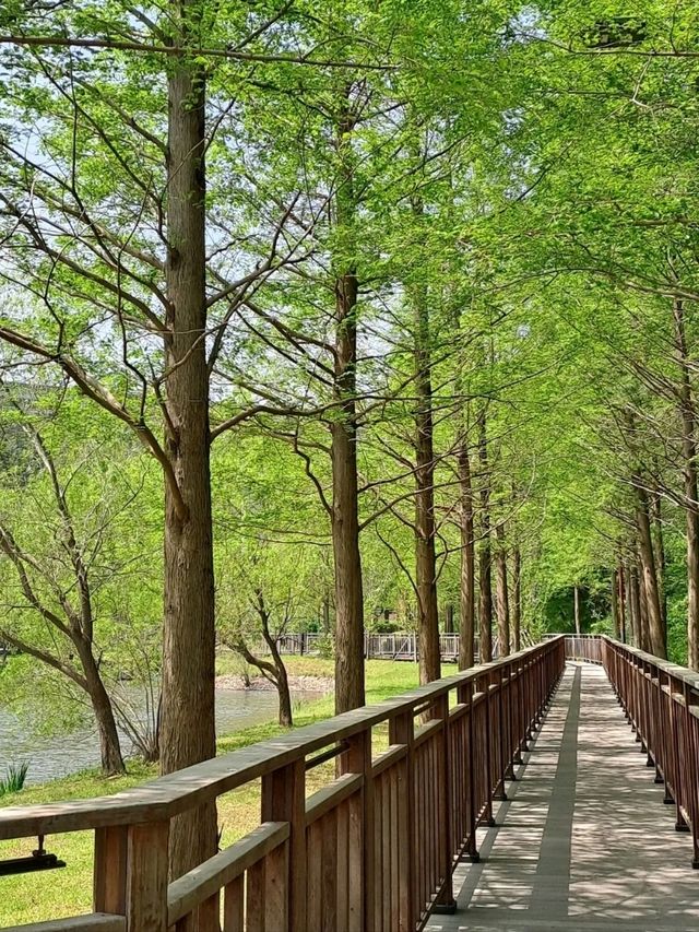 Yongso Well-being Park