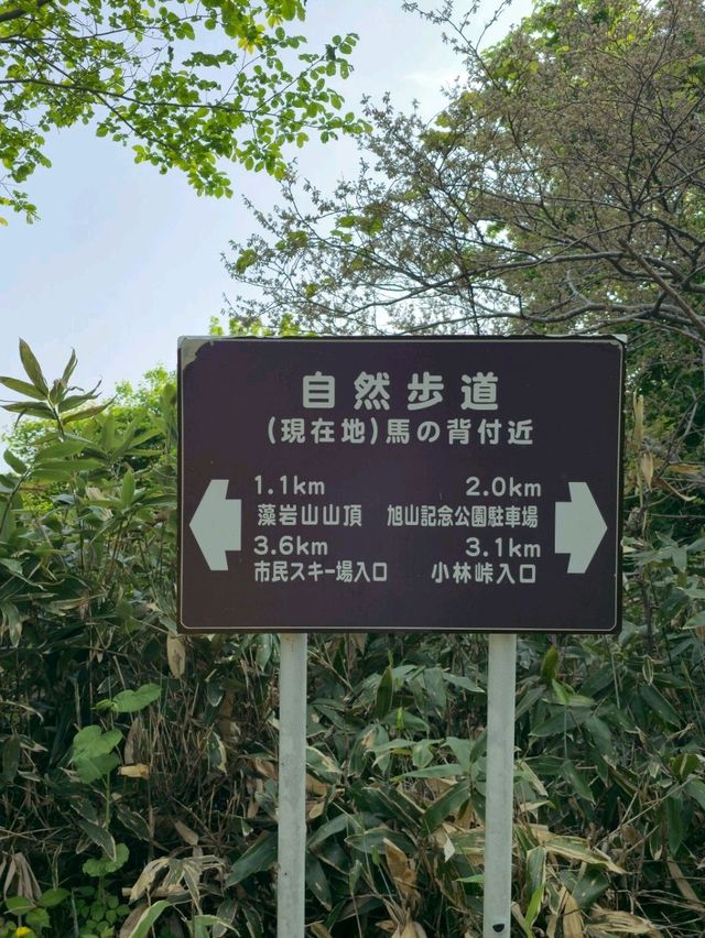 해외여행 삿포로 등산 Mount Moiwa Hiking Walking trail 