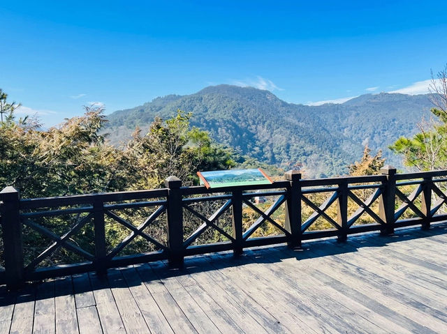 森林遊樂園區系列 PART5️⃣