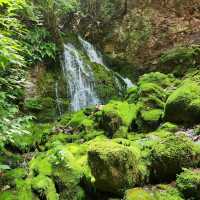 Mossy Magic at Mugeunri Falls