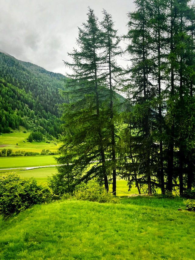Summer Train Journey: St. Moritz ➝ Zurich – Scenic Swiss Rail Review