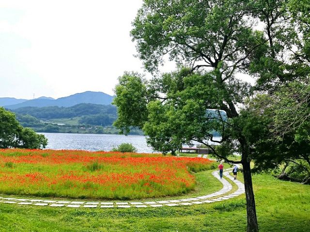 붉은 물결이 넘실넘실, 6월의 물의 정원