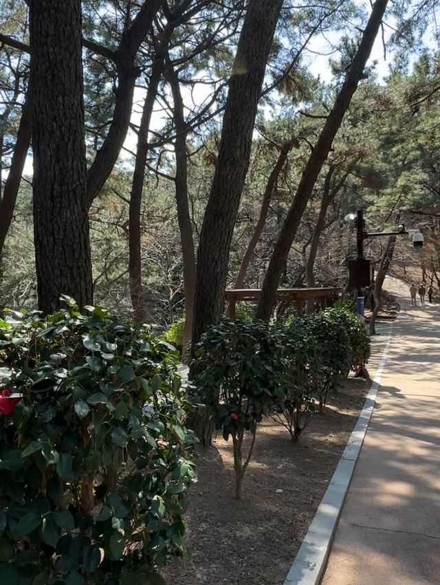 【釜山】 松島🏝️今注目を集めている松島の観光スポット