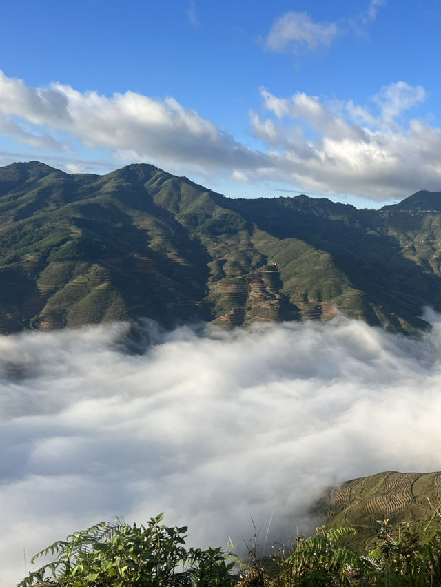 Tà Xùa — Chasing clouds on the dragon’s back ☁️