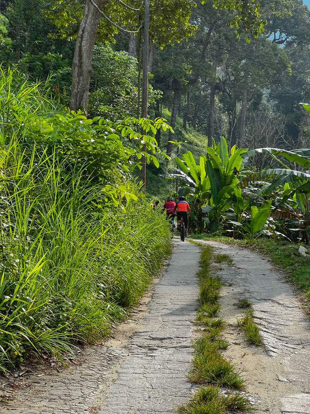 Morning Hike to a Hidden Gem: Emperor Villa Penang