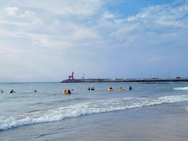 제주도 바다 여행코스 추천🌊