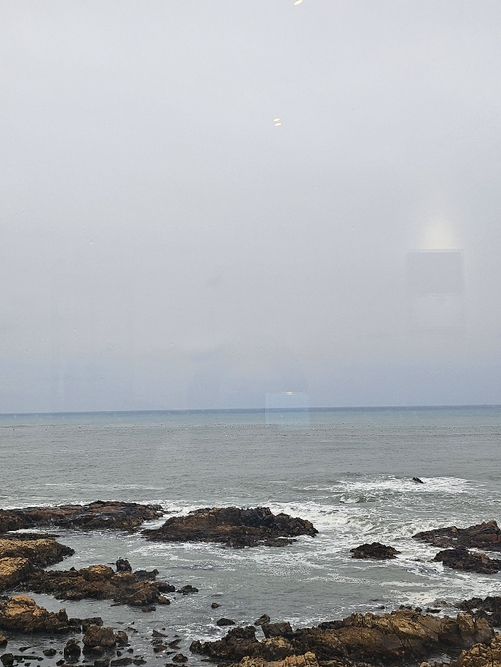 제주도 여행코스🌟