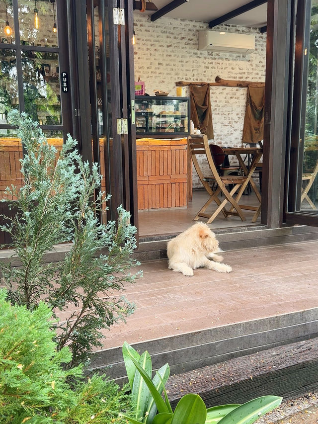 The Humble Jack : Cafe&Bistro 🌲🍃🌳🌻 