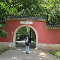 ⛰️ Nanjing Zhongshan Scenic Area – More Than Just 392 Steps 