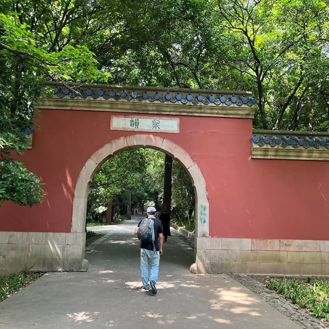 ⛰️ Nanjing Zhongshan Scenic Area – More Than Just 392 Steps 