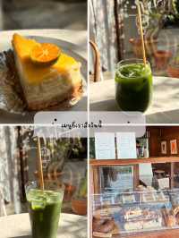 Little tree grocery ม.มหิดล ศาลายา คาเฟ่เก๋ๆ 🪵🪹