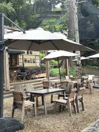 คาเฟ่เชียงใหม่ที่ไม่ควรพลาดต้องที่นี่ WTF Cafe ⛰️