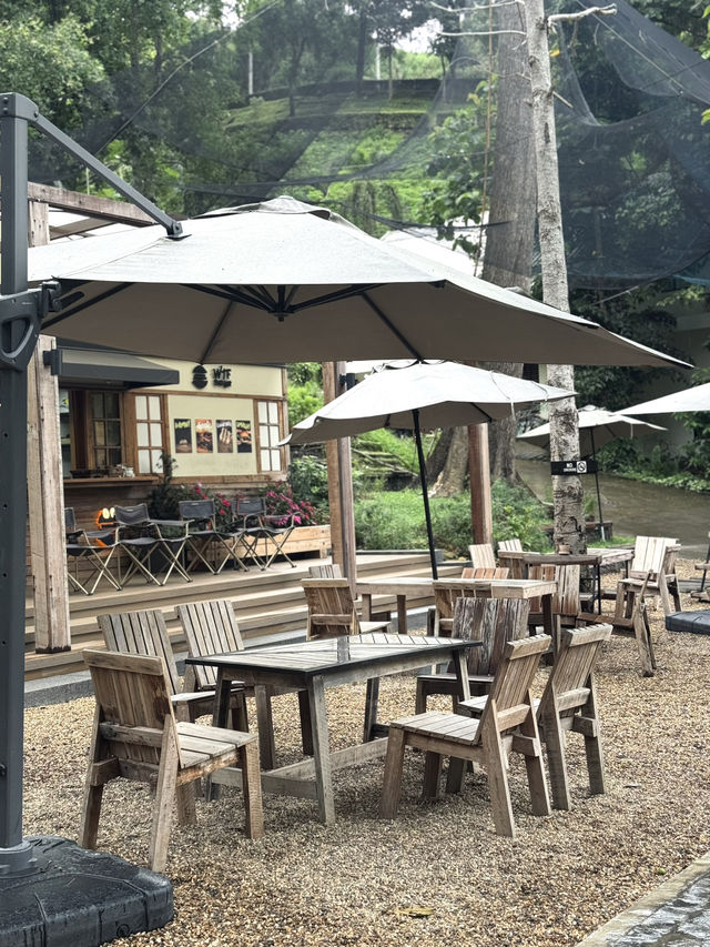 คาเฟ่เชียงใหม่ที่ไม่ควรพลาดต้องที่นี่ WTF Cafe ⛰️