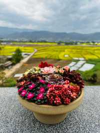 "Blossoms and Beyond: Springtime in Yunnan China” 🌸🌼🌺
