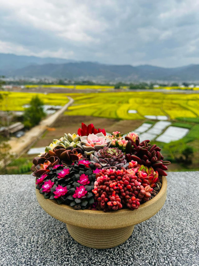 "Blossoms and Beyond: Springtime in Yunnan China” 🌸🌼🌺