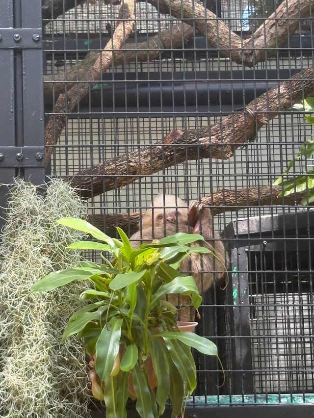 The Hong Kong Zoological and Botanical Garden 