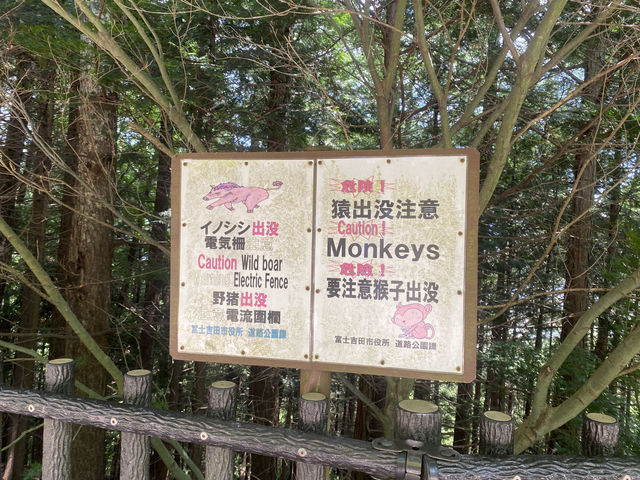 高cp值東京行程分享day2