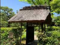 犬山 | 日式庭園有樂苑，國寶茶室如庵