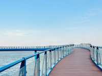 Cheongsapo Daritdol Observatory, Busan: A Thrilling Walk Over the Waves