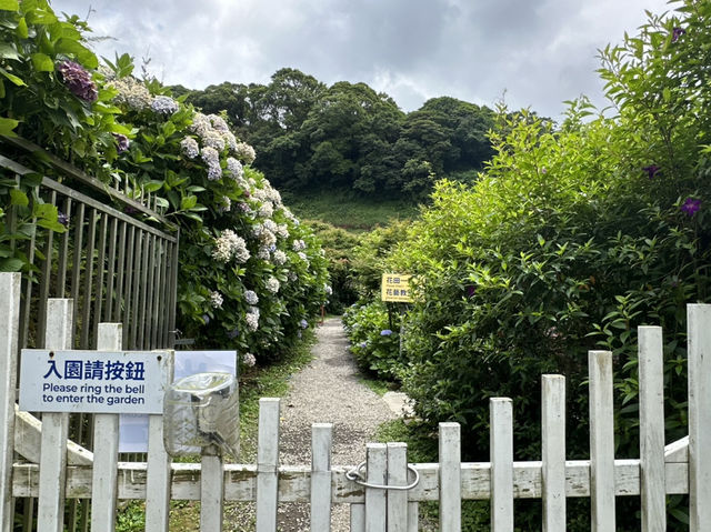 草山觀瀑吊橋。猴崁圳古道
