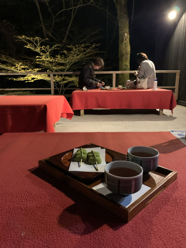 【滋賀🇯🇵】大津で楽しむ三井寺の夜桜