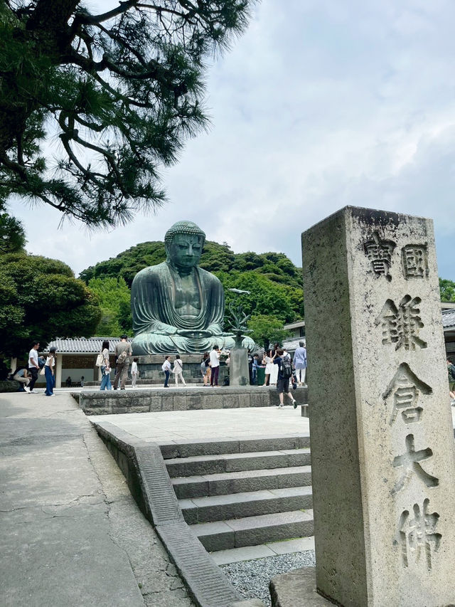 佛也太大了吧！？鐮倉大佛震撼登場🔥