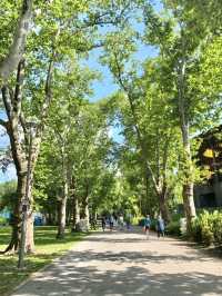 🌳【布達佩斯城市公園全攻略】都市綠洲的10種玩法｜百年溫泉 × 童話城堡 × 隱藏景點