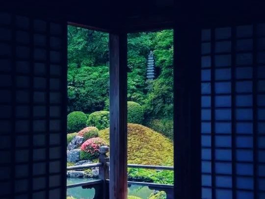 京都🇯🇵青蓮院