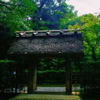 京都🇯🇵桂離宮